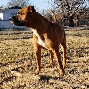 Meet your Posher, Jacob